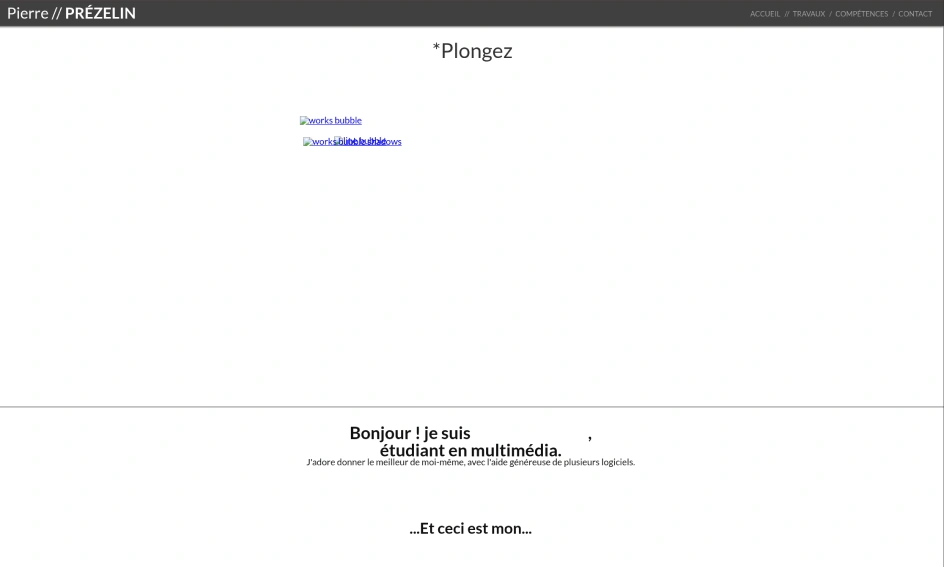 Aperçu du site v1